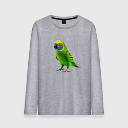 Лонгслив хлопковый мужской Зеленый попугай, цвет: меланж