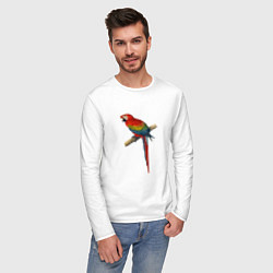 Лонгслив хлопковый мужской Попугай ara macaw, цвет: белый — фото 2