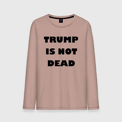 Лонгслив хлопковый мужской Trump is not dead - motto, цвет: пыльно-розовый