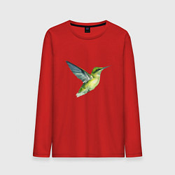 Мужской лонгслив Колибри зелёная