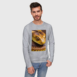 Лонгслив хлопковый мужской Песчаная змея, цвет: меланж — фото 2