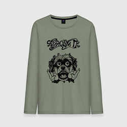 Мужской лонгслив Aerosmith - rock dog