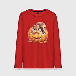 Мужской лонгслив Белка в тыкве
