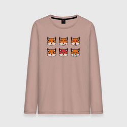 Мужской лонгслив Эмоции лисички