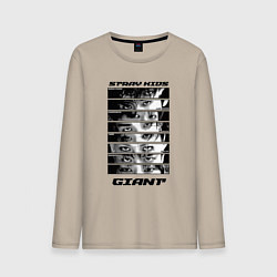 Мужской лонгслив Stray Kids album Giant eyes