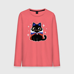 Мужской лонгслив Кот с флагом