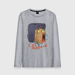Лонгслив хлопковый мужской 23 февраля мем, цвет: меланж