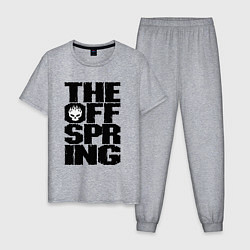 Пижама хлопковая мужская The Offspring, цвет: меланж