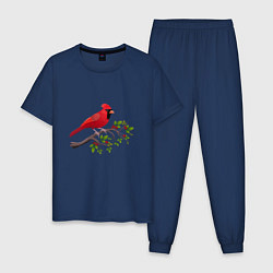Пижама хлопковая мужская Красный кардинал, цвет: тёмно-синий
