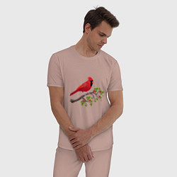 Пижама хлопковая мужская Красный кардинал, цвет: пыльно-розовый — фото 2