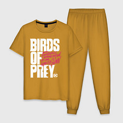 Мужская пижама Birds of Prey logo