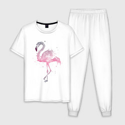 Мужская пижама Flamingo
