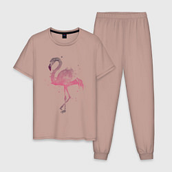 Мужская пижама Flamingo