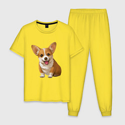 Пижама хлопковая мужская Корги, цвет: желтый
