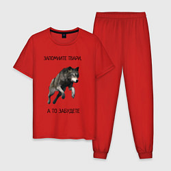 Пижама хлопковая мужская Волк, цвет: красный