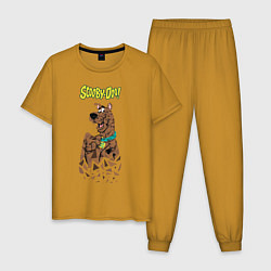 Мужская пижама Scooby-Doo