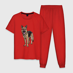 Пижама хлопковая мужская Немецкая овчарка, цвет: красный