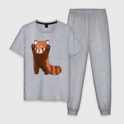 Пижама хлопковая мужская Нападение милой панды, цвет: меланж