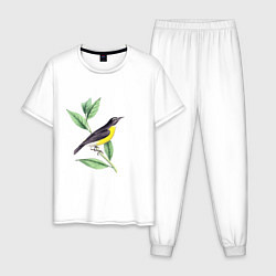 Пижама хлопковая мужская Птица, цвет: белый