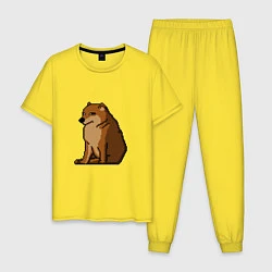 Пижама хлопковая мужская Собака Мем!, цвет: желтый