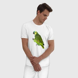 Пижама хлопковая мужская Попугайчик, цвет: белый — фото 2