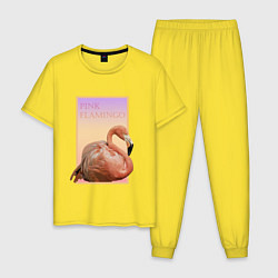Пижама хлопковая мужская Розовый фламинго в рамке, цвет: желтый