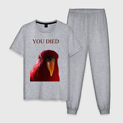 Мужская пижама Красный попугай