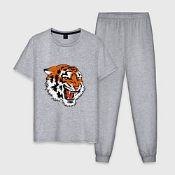 Пижама хлопковая мужская Smiling Tiger, цвет: меланж