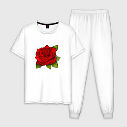 Пижама хлопковая мужская Красная роза Рисунок, цвет: белый