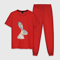Пижама хлопковая мужская А 022 Заяц, цвет: красный