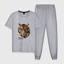Мужская пижама Тигр 2022 символ