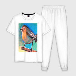 Пижама хлопковая мужская Рисунок пастелью птица синица, цвет: белый