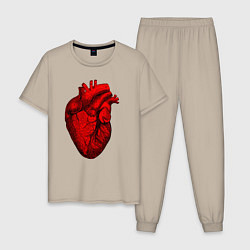 Мужская пижама Сердце анатомическое
