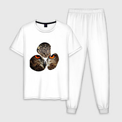 Пижама хлопковая мужская Owl puzzle, цвет: белый