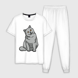 Пижама хлопковая мужская Серый котейка, цвет: белый