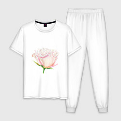 Пижама хлопковая мужская Акварельная роза, цвет: белый