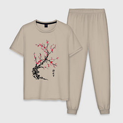 Пижама хлопковая мужская Сакура с иероглифами, цвет: миндальный