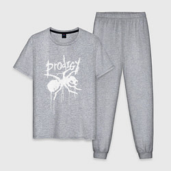 Пижама хлопковая мужская Draw white logo - Ant, цвет: меланж