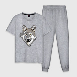 Пижама хлопковая мужская Волчья морда, цвет: меланж