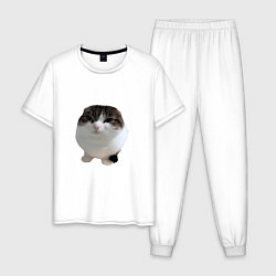 Пижама хлопковая мужская Wawa cat Oh The Misery Cat, цвет: белый