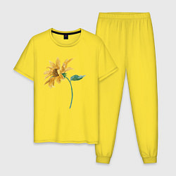 Пижама хлопковая мужская Branch With a Sunflower Подсолнух, цвет: желтый