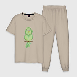 Пижама хлопковая мужская Зелёная птица, цвет: миндальный