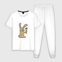Мужская пижама Rabbit & Carrot