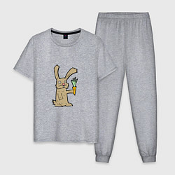 Пижама хлопковая мужская Rabbit & Carrot, цвет: меланж
