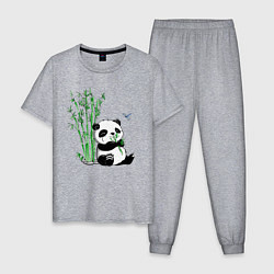 Пижама хлопковая мужская Панда бамбук и стрекоза, цвет: меланж