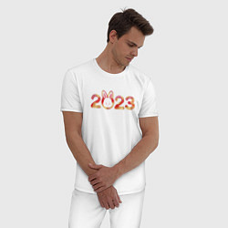 Пижама хлопковая мужская 2023 - Год кролика, цвет: белый — фото 2