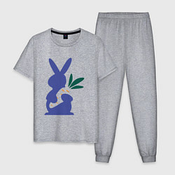 Пижама хлопковая мужская Синий кролик, цвет: меланж