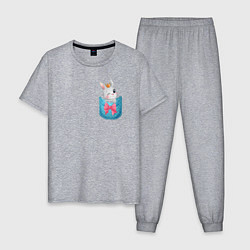 Пижама хлопковая мужская Зайка в кармане, цвет: меланж