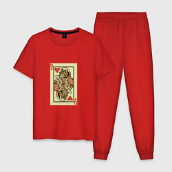 Пижама хлопковая мужская Дама - кошечка, цвет: красный