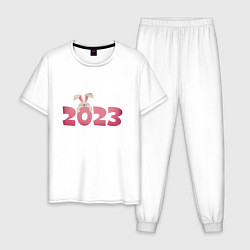 Мужская пижама Pink rabbit 2023